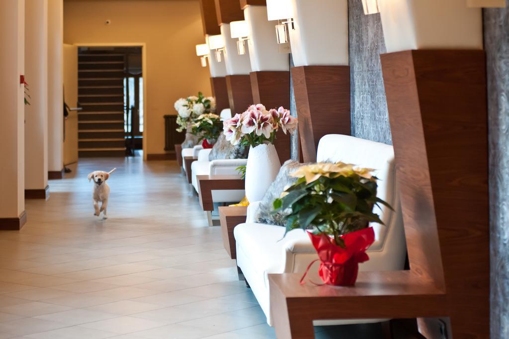 Hotel Garni Cristallo 폰테디레뇨 외부 사진